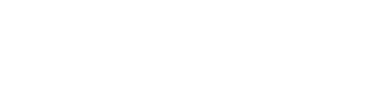 B. Braun logo