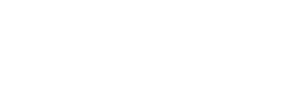 Bidvest logo