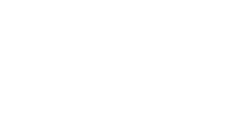 Moolman Group logo