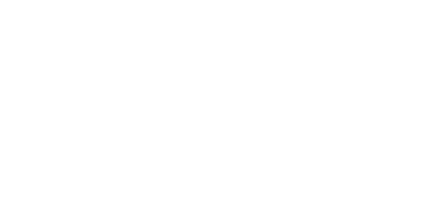 Pareto Limited logo