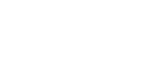 Tsogo Sun Hotels logo